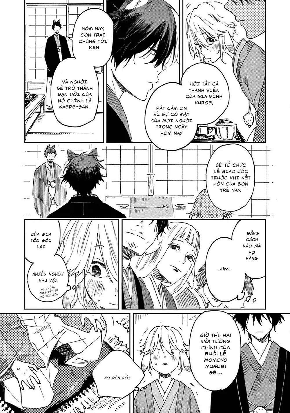 Kết Hôn Với Chàng Sói 5 trang 12