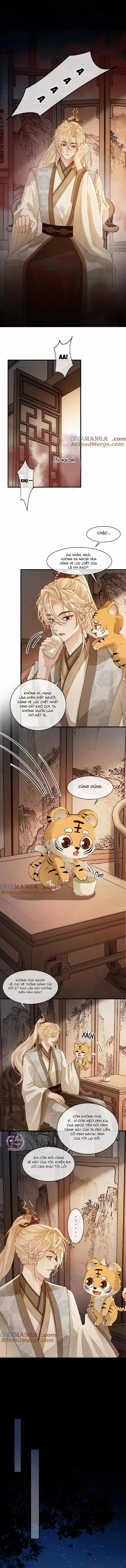 Khát vọng ngọt ngào 215 trang 1