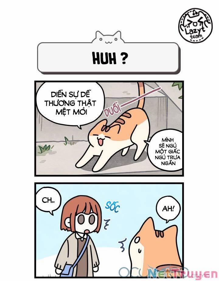 Khi Loài Mèo Làm Bá Chủ Thế Giới 7 trang 8