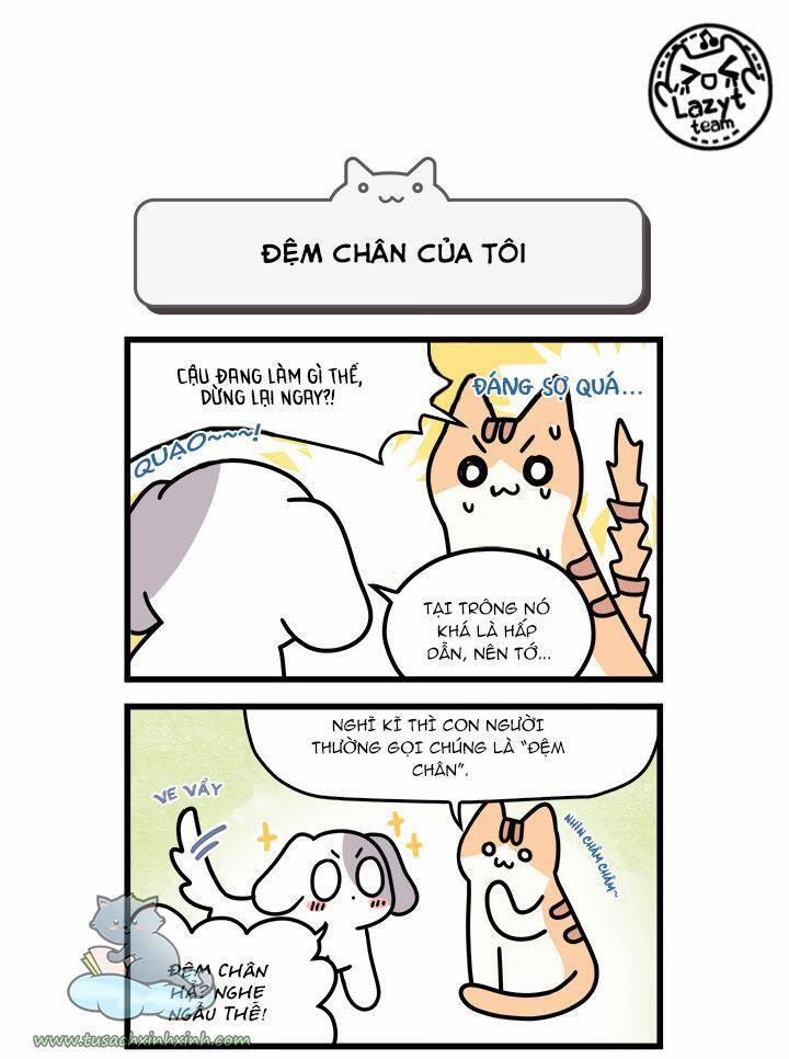 Khi Loài Mèo Làm Bá Chủ Thế Giới 8 trang 7