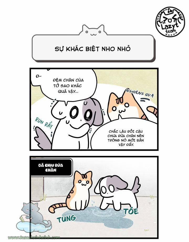 Khi Loài Mèo Làm Bá Chủ Thế Giới 8 trang 9