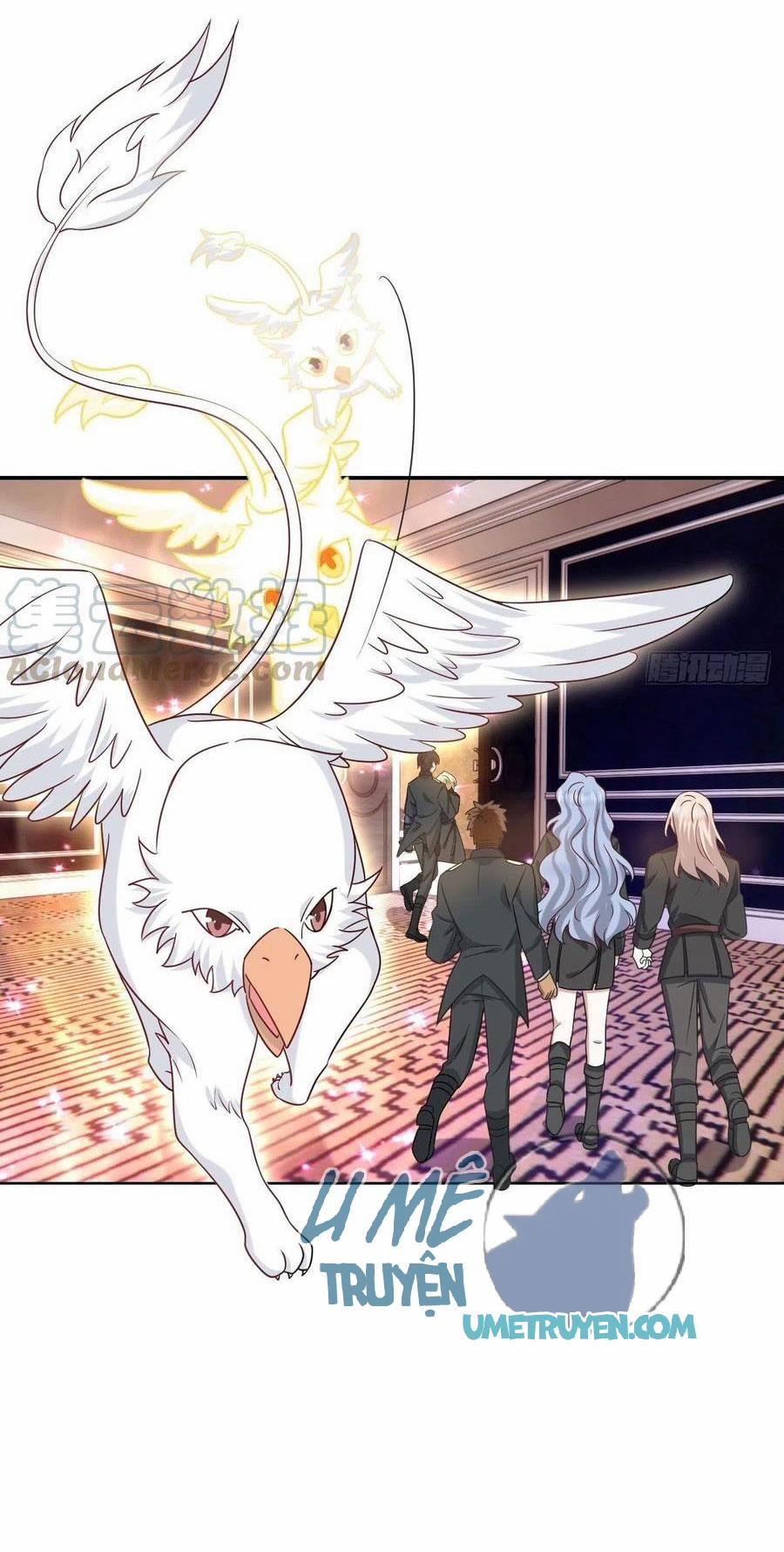 Không Nỗ Lực Thì Phải Làm Hoàng Phu 77 trang 4