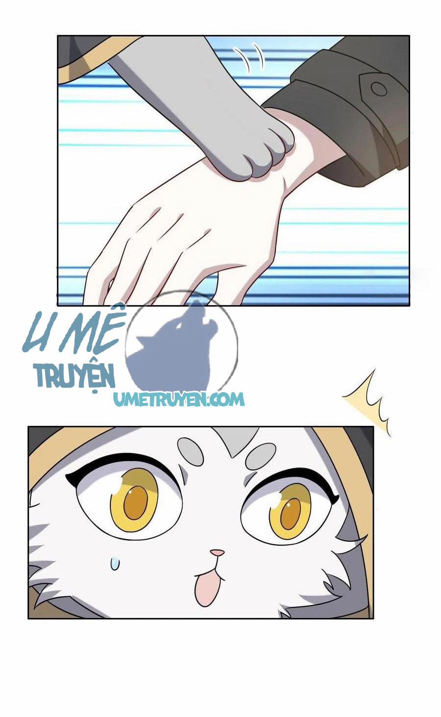 Không Nỗ Lực Thì Phải Làm Hoàng Phu 77 trang 7