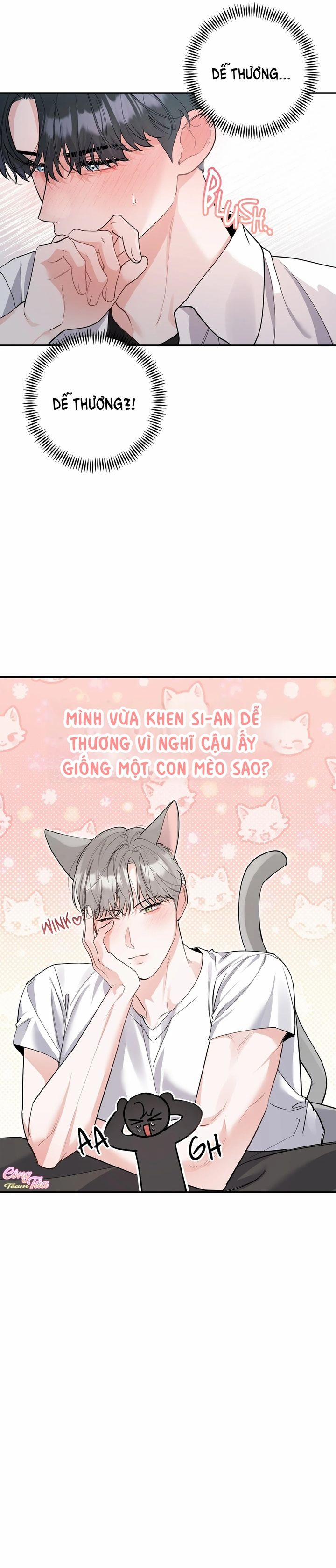 Không Phải Con Mèo Đó, Mà Là Con Mèo Này Này! 2 trang 13