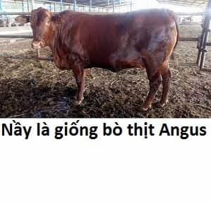 Không Xóa Sổ Con Người Được!! 21.2 trang 14