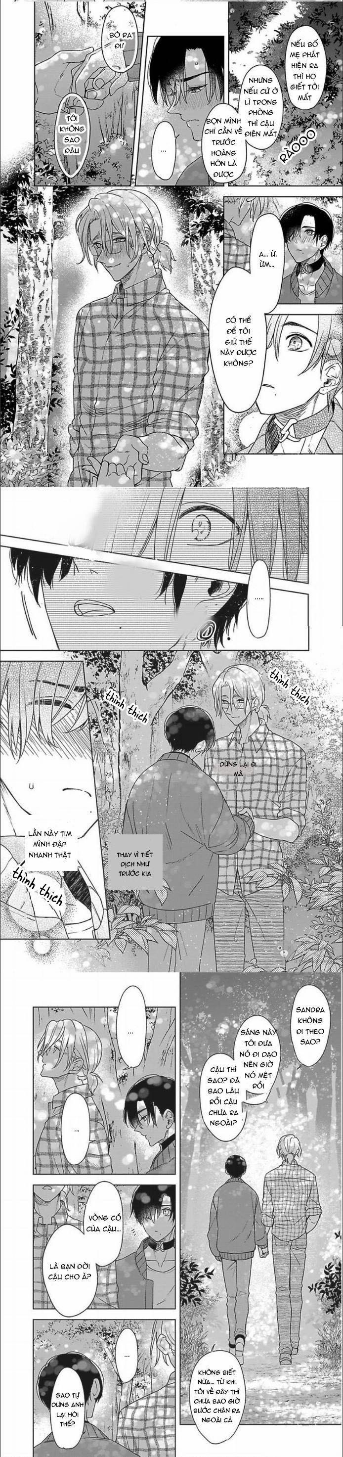 Kimi Wa Mou Kamenai 4 trang 3