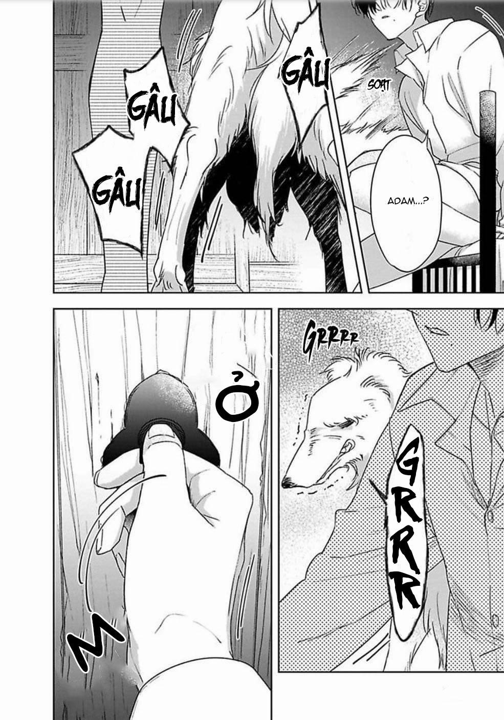 Kimi Wa Mou Kamenai 5 trang 12