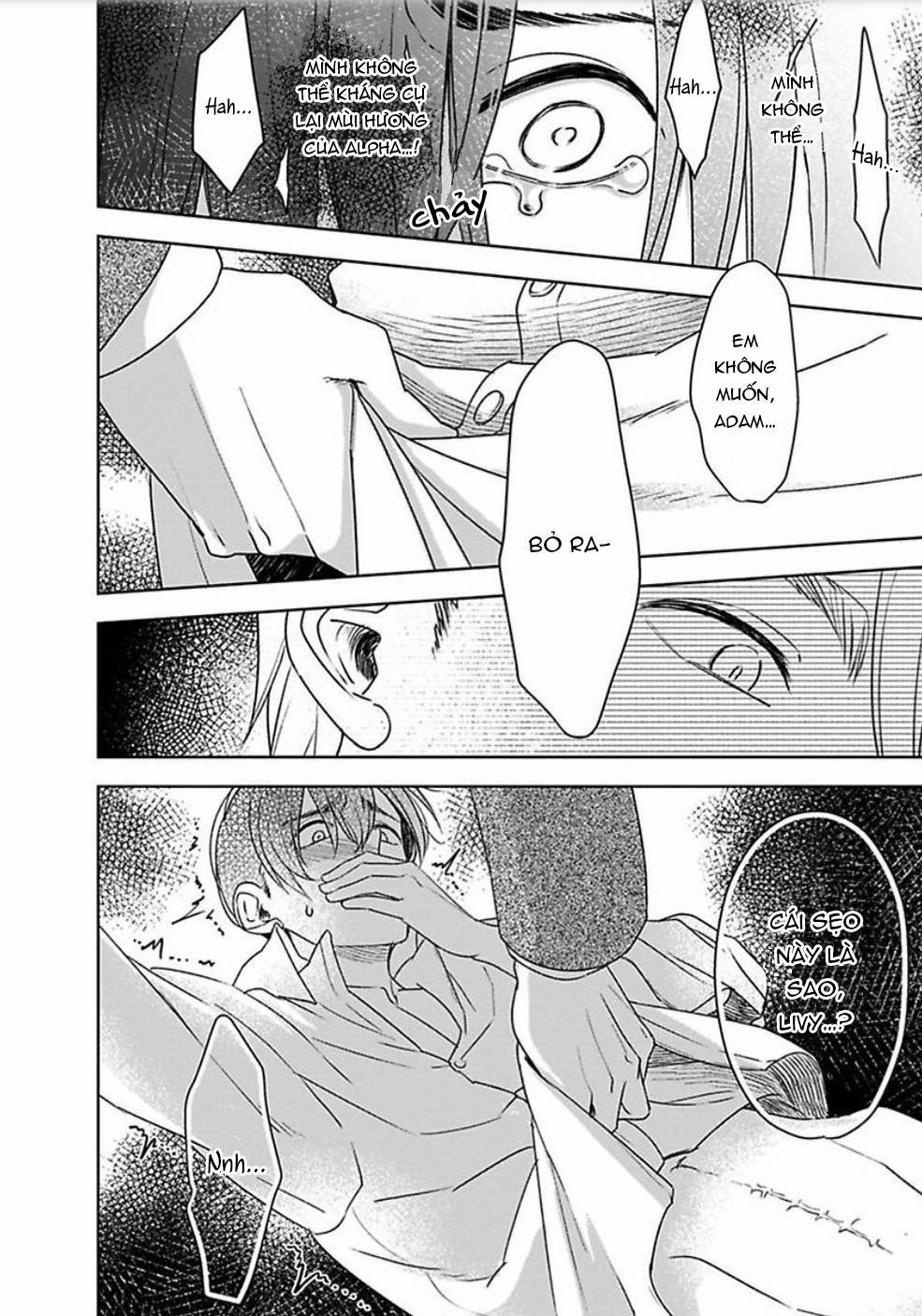 Kimi Wa Mou Kamenai 5 trang 16
