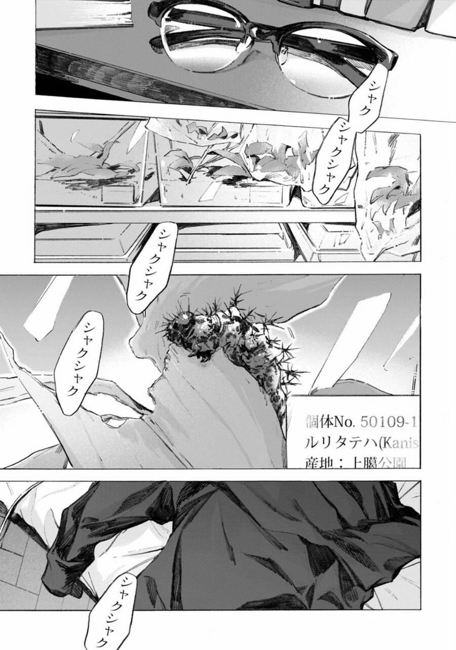 Kodoku No Ie 4 trang 1