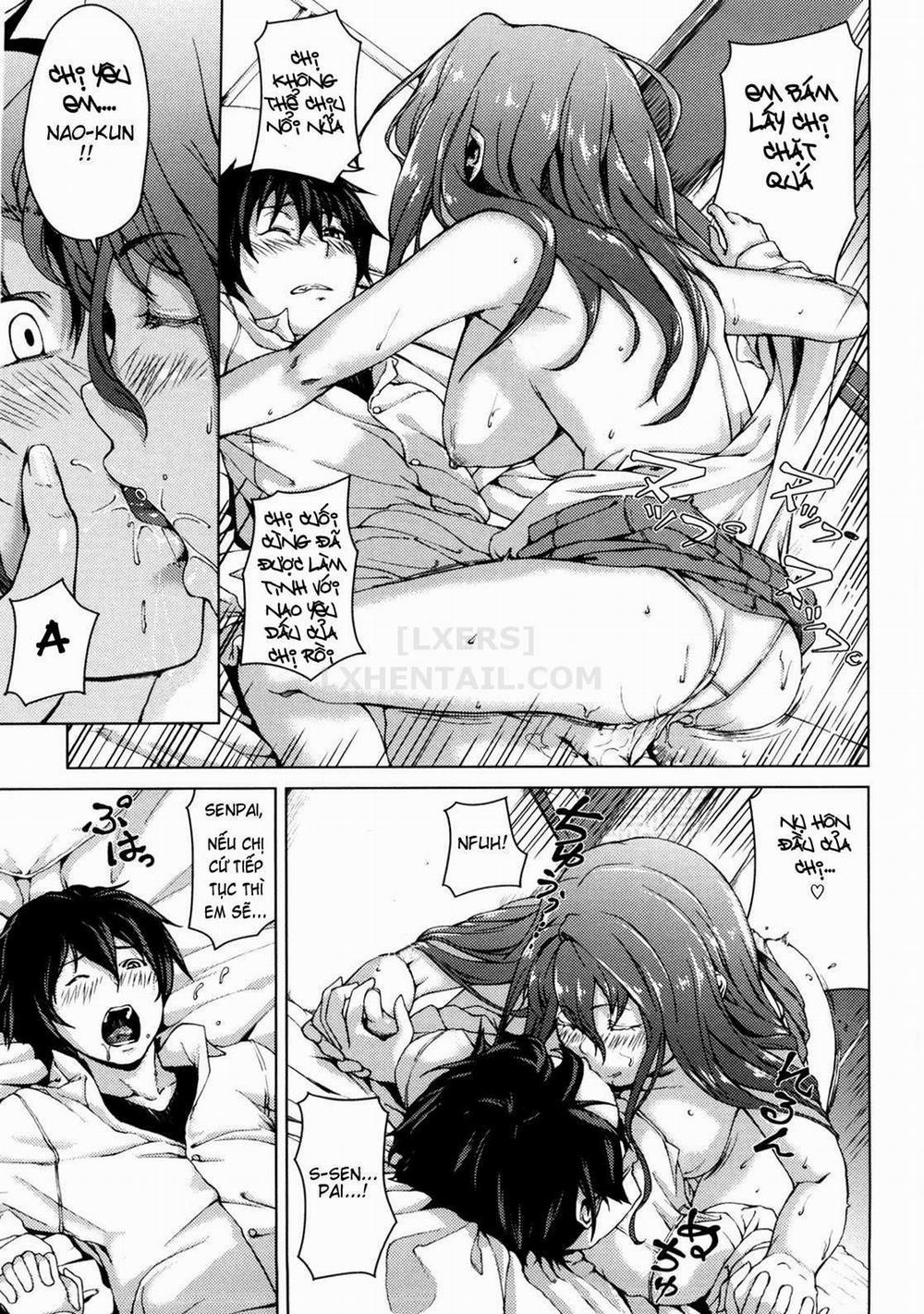 Koimitsu Fragrance 10 trang 12