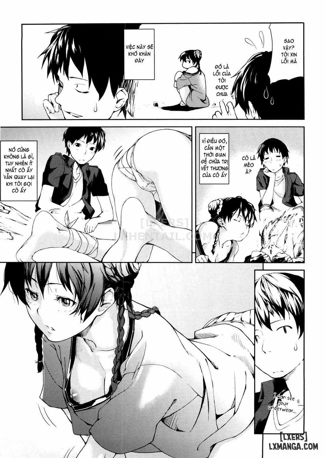 Koimitsu Fragrancee 3 trang 3