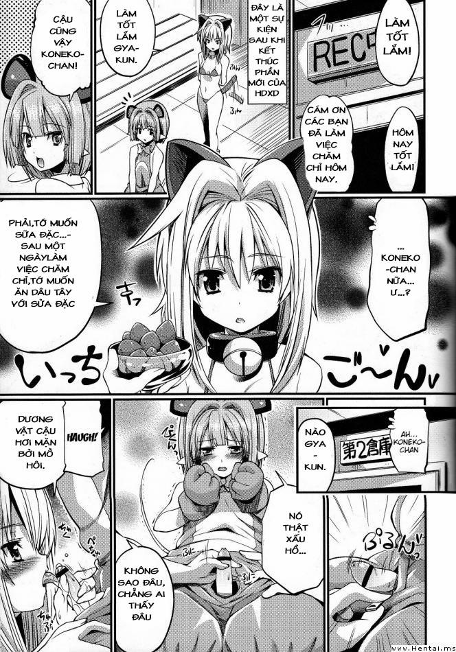 Koneko-tan and Gasper-kyun (Highschool DxD) Oneshot trang 2