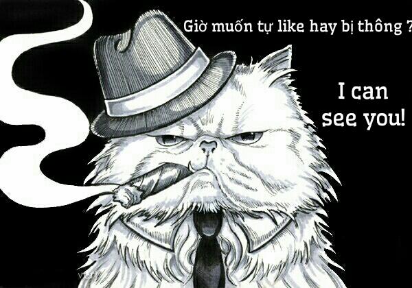 Kore Wa Kyuuketsu Ninja Desu Ka? (Kore wa Zombie Desu ka?) Oneshot trang 23