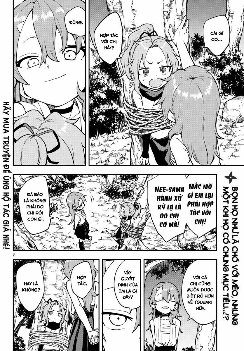 Kunoichi Tsubaki No Mune No Uchi 59 trang 2