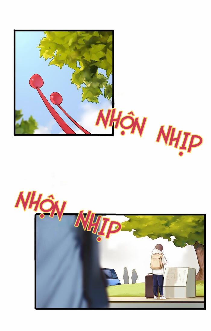 Làm Ơn Đừng Phát Trực Tiếp Nữa! 1 trang 1