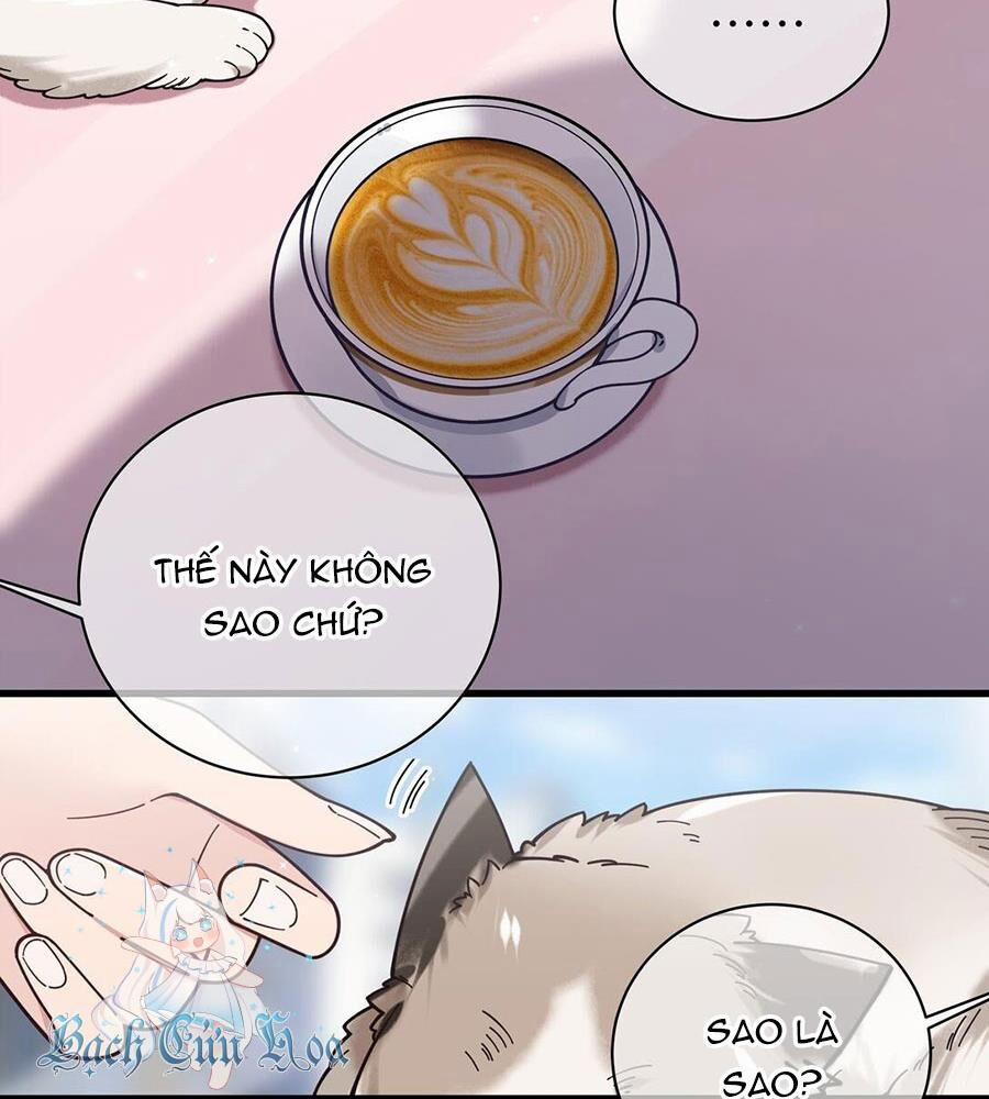 Làm Sao Để Chạy Trốn Dàn Hậu Cung 124 trang 7