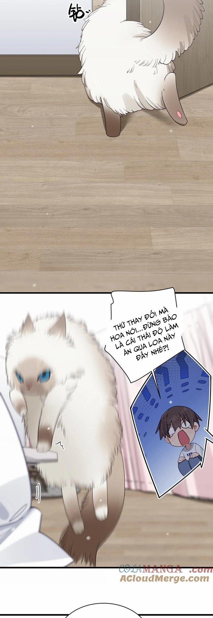 Làm Sao Để Chạy Trốn Dàn Hậu Cung 137 trang 13