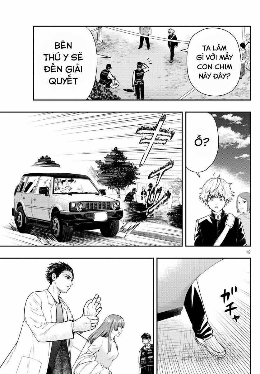 Last Karte 1 trang 11