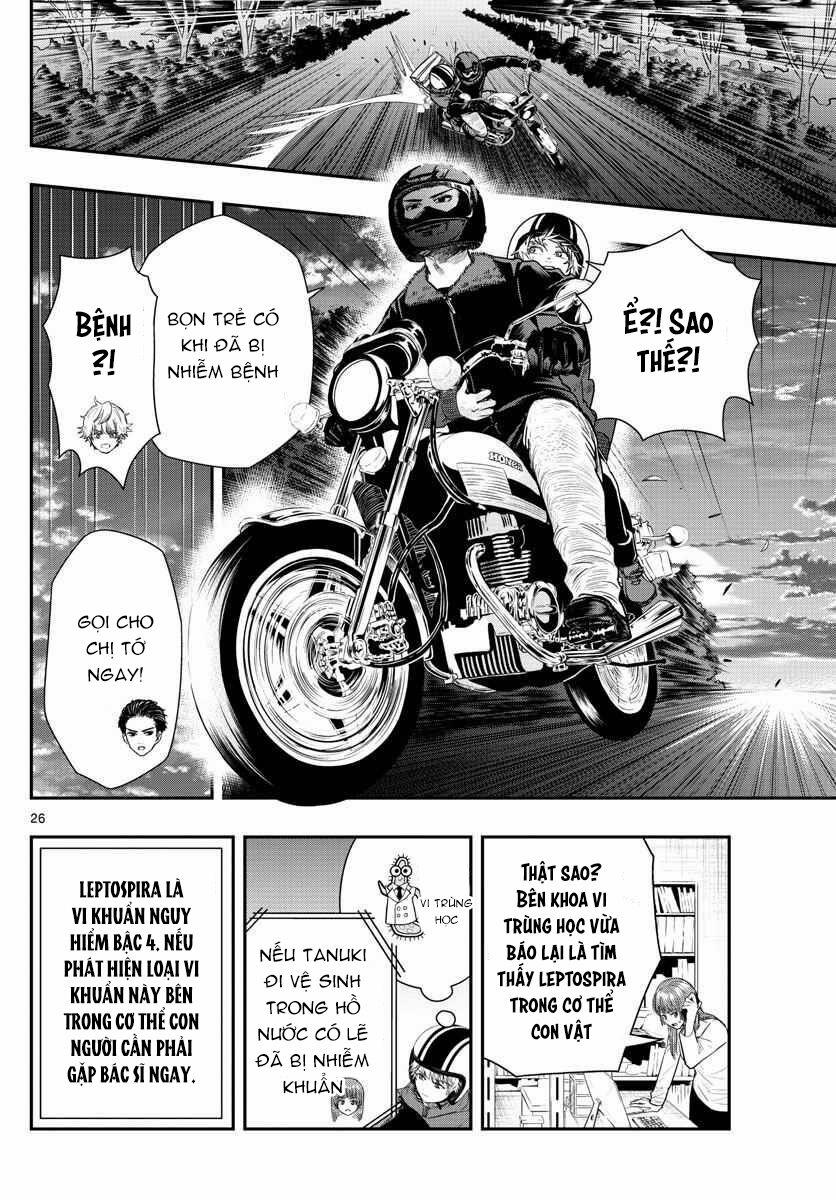 Last Karte 2.5 trang 6