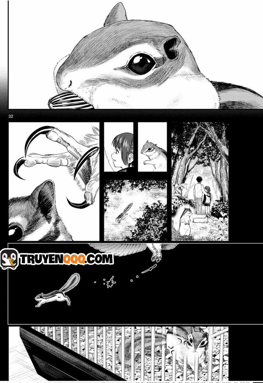 Last Karte 3.5 trang 13