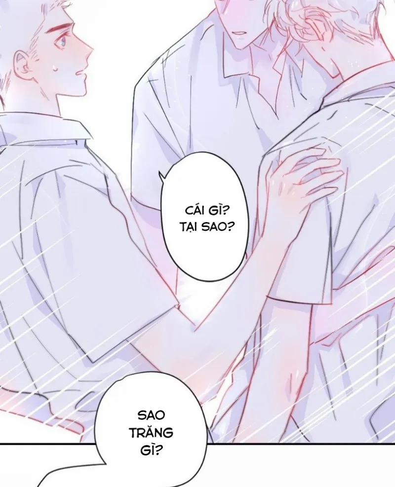 Lemon 13 trang 5