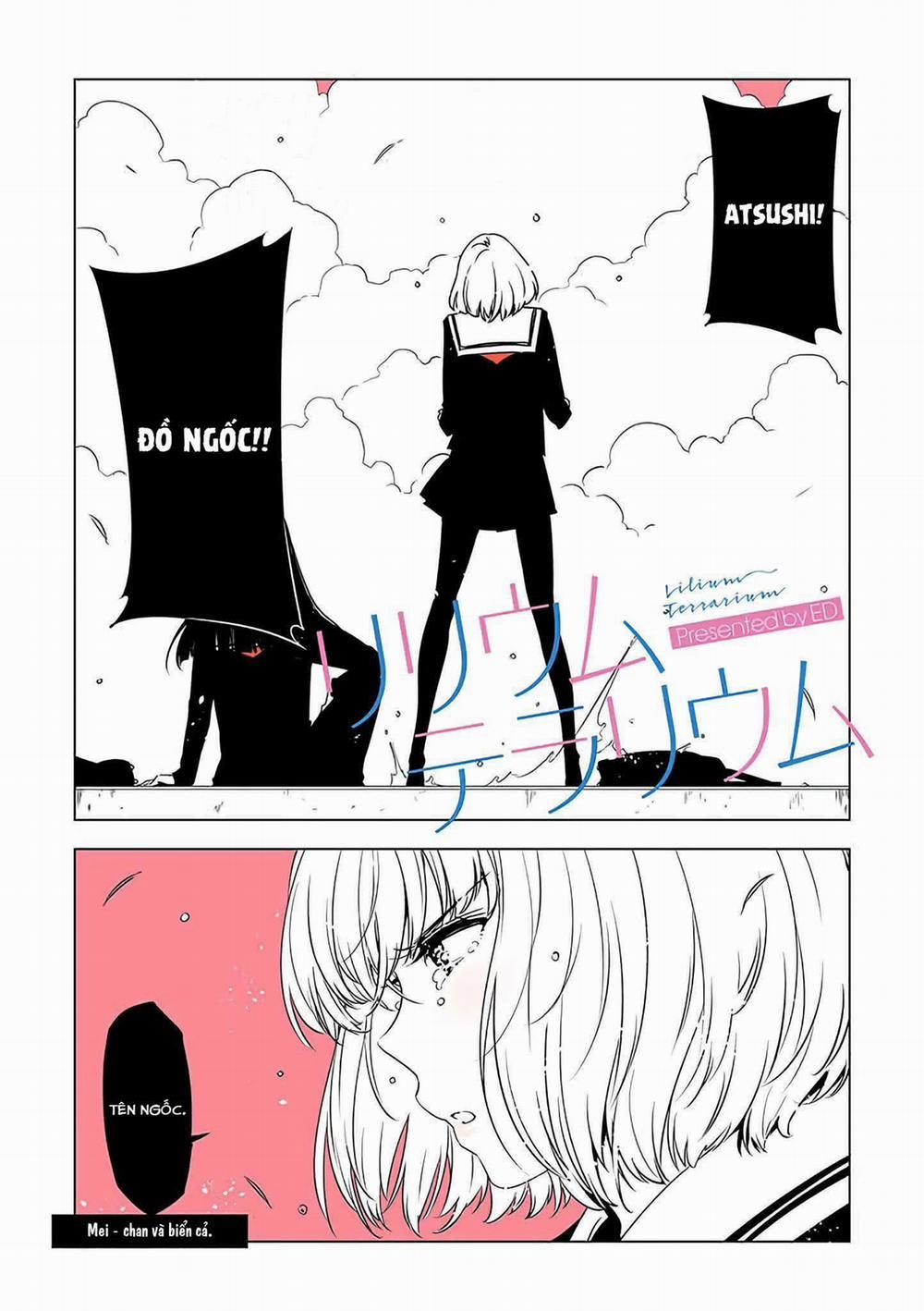 Lilium Terrarium 7 trang 4