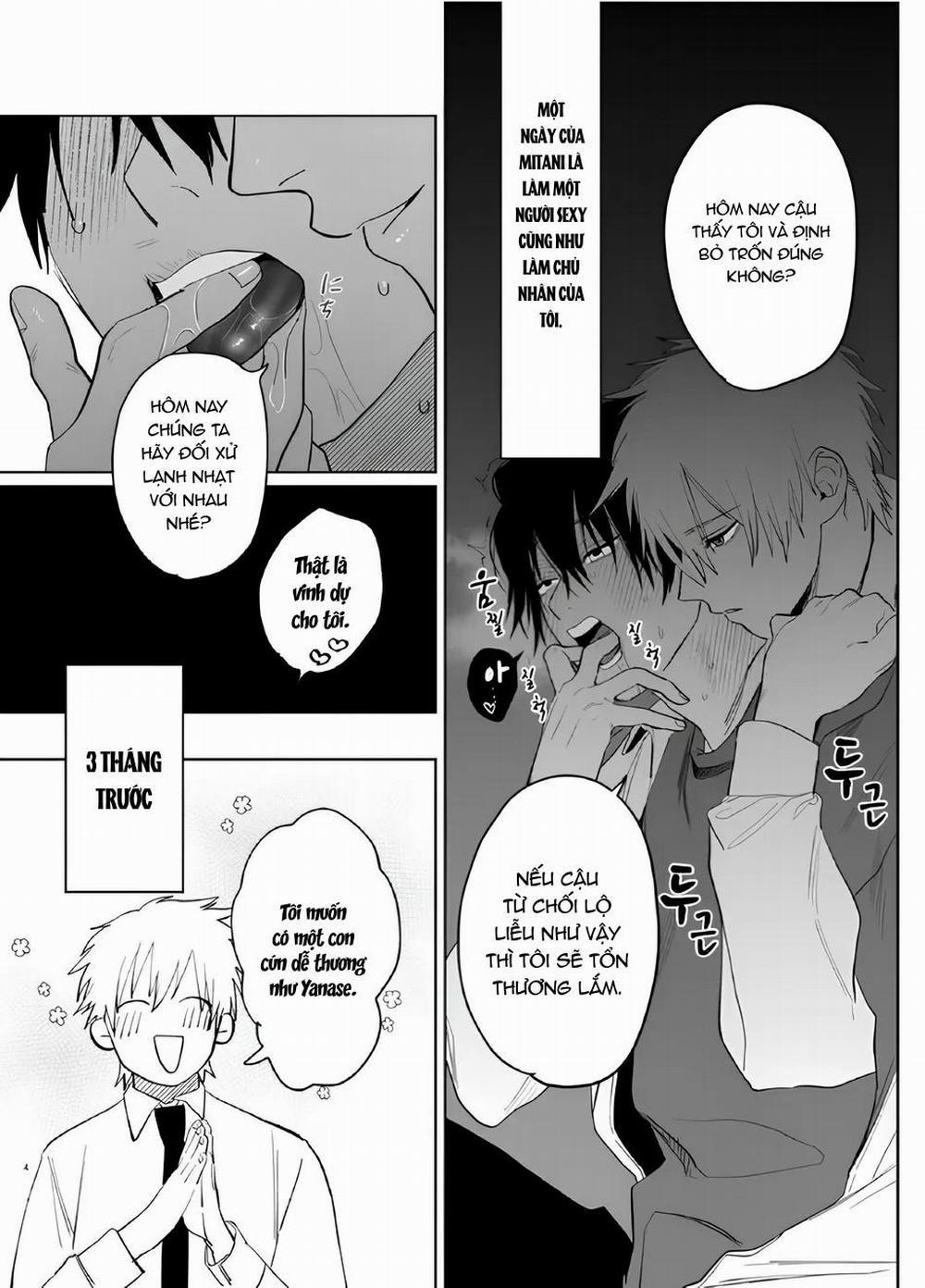 Lỗ tầy quầy 3 trang 2