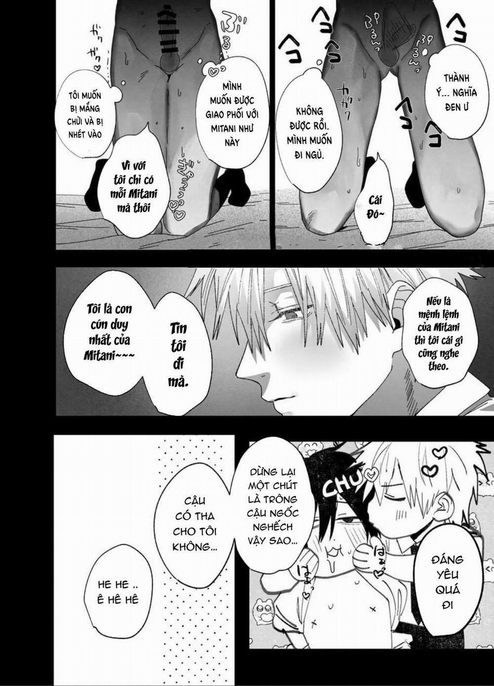 Lỗ tầy quầy 4 trang 20