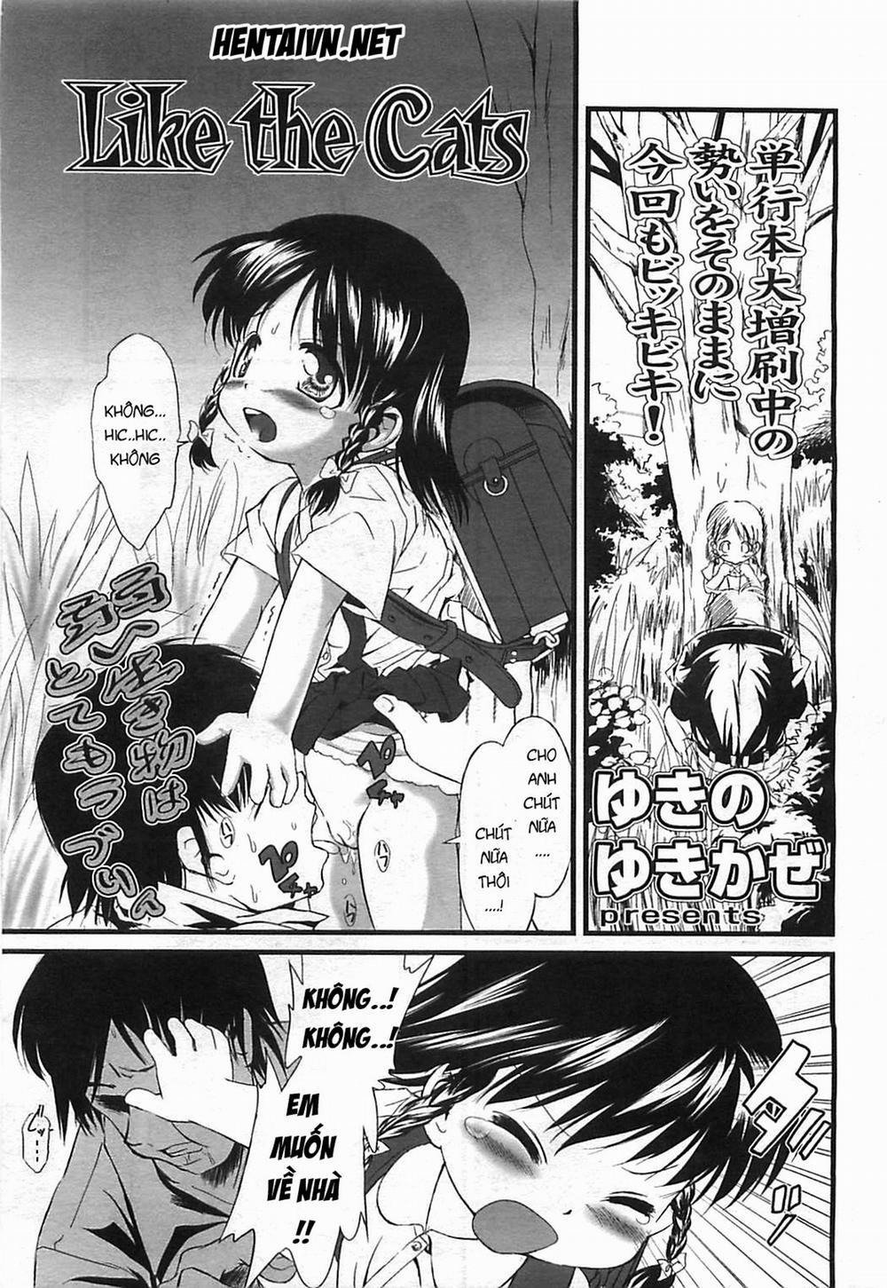 [Loli] Like the cats Oneshot trang 1