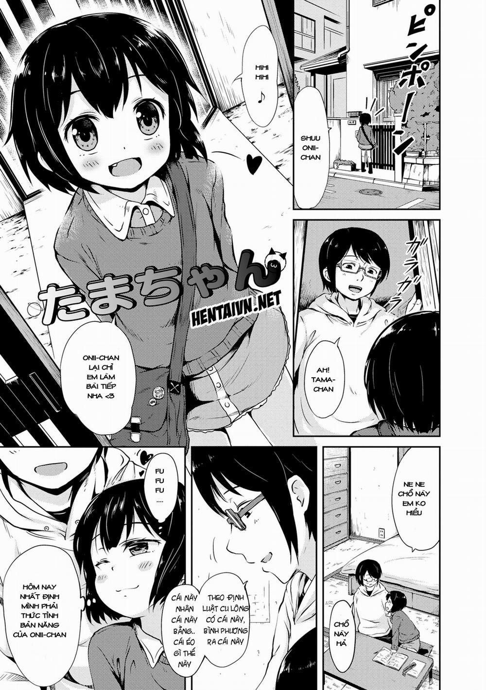 [Loli] Tama-chan Oneshot trang 0