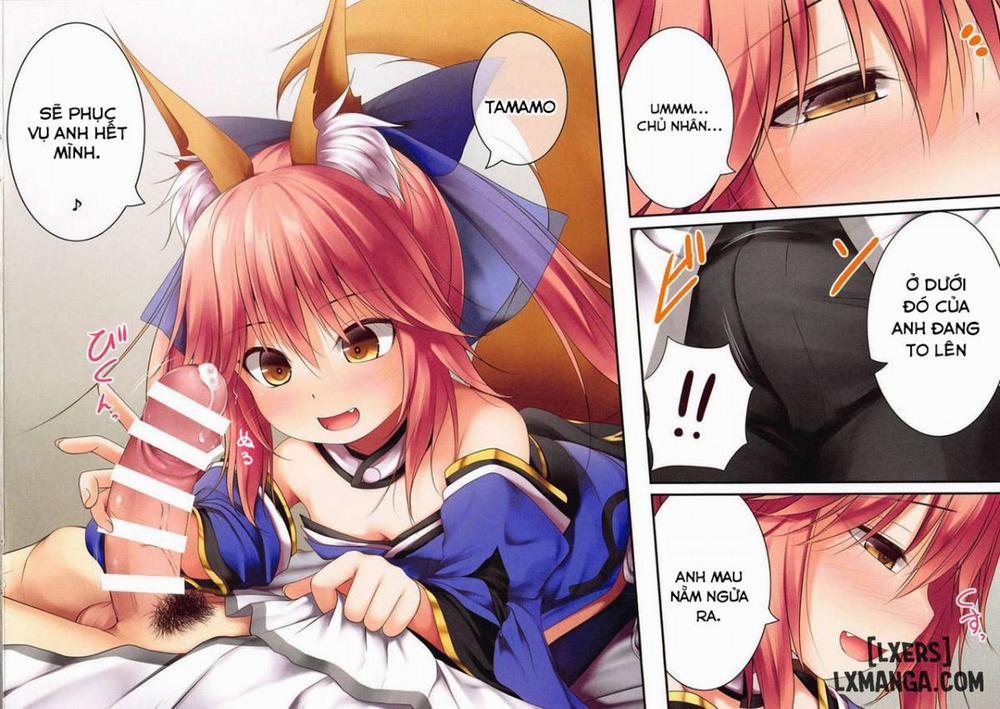 Lolikkitsune Tamamo-chan Oneshot trang 17