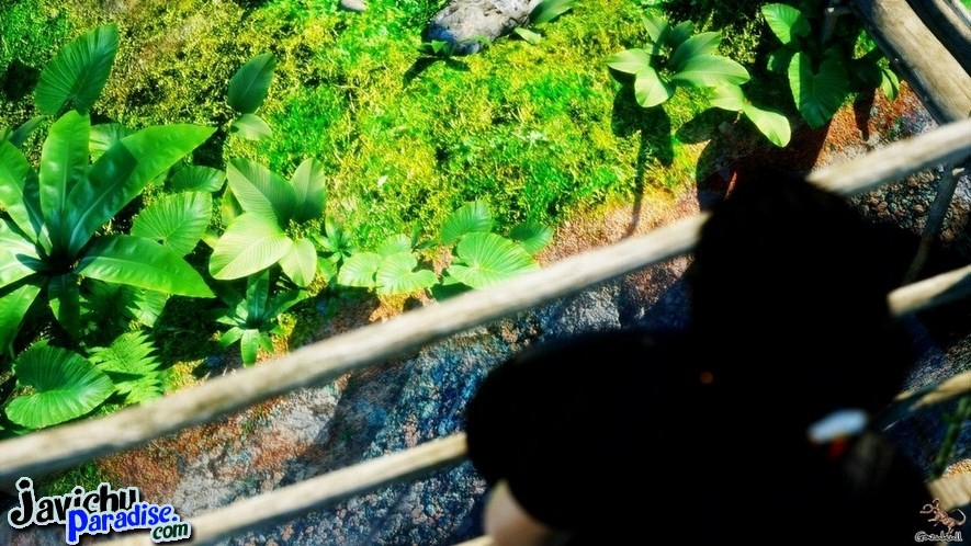 Love Can Bloom Part 1 trang 3