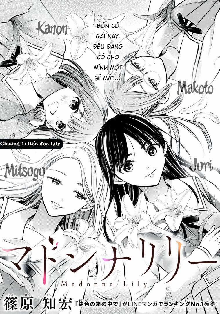 Madonna Lily 1 trang 3