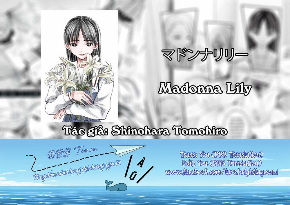 Madonna Lily 7 trang 1