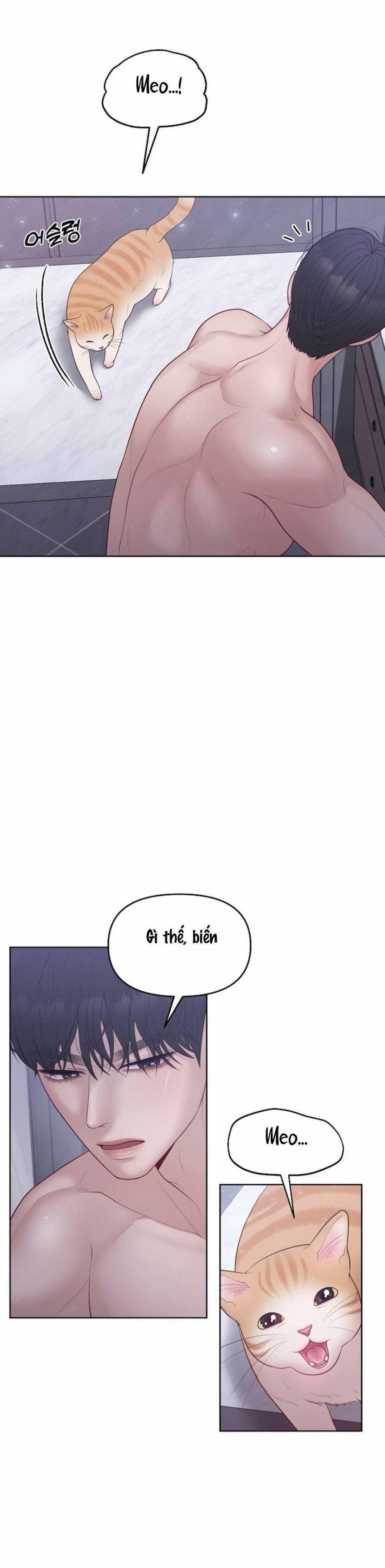 Mang Thai, Chiếm Đoạt 16 trang 10