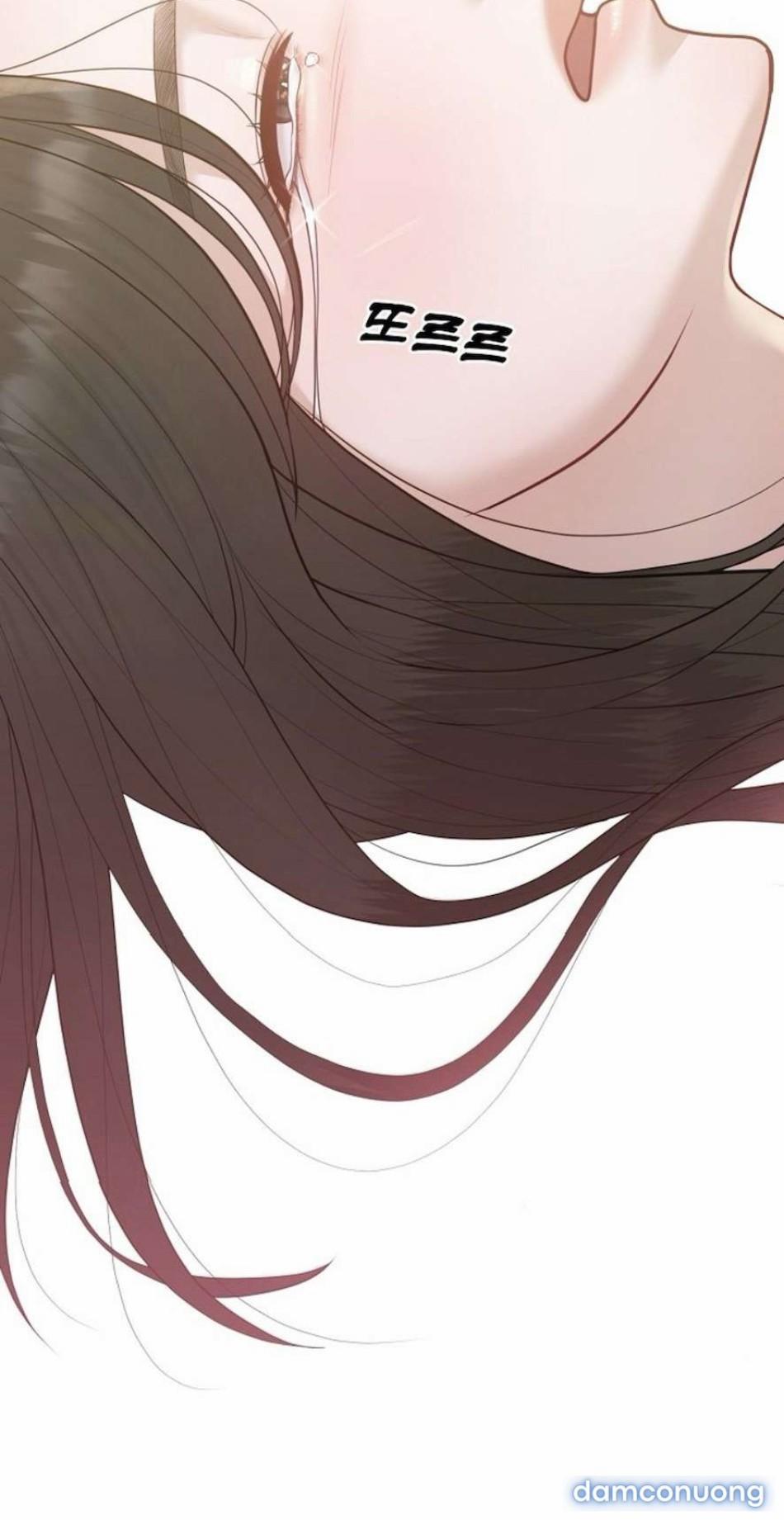 Mang Thai, Chiếm Đoạt 28 trang 23