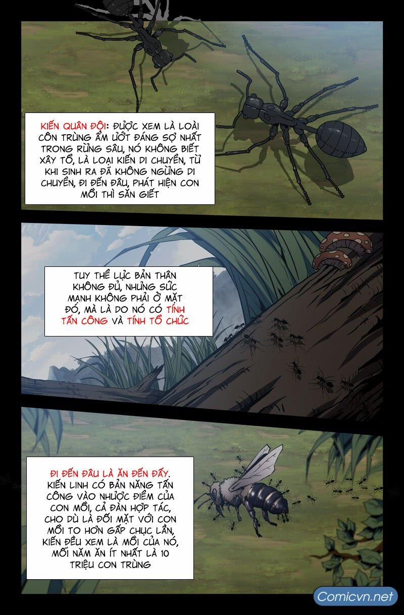 Mạnh Nhất Lịch Sử 28 trang 15