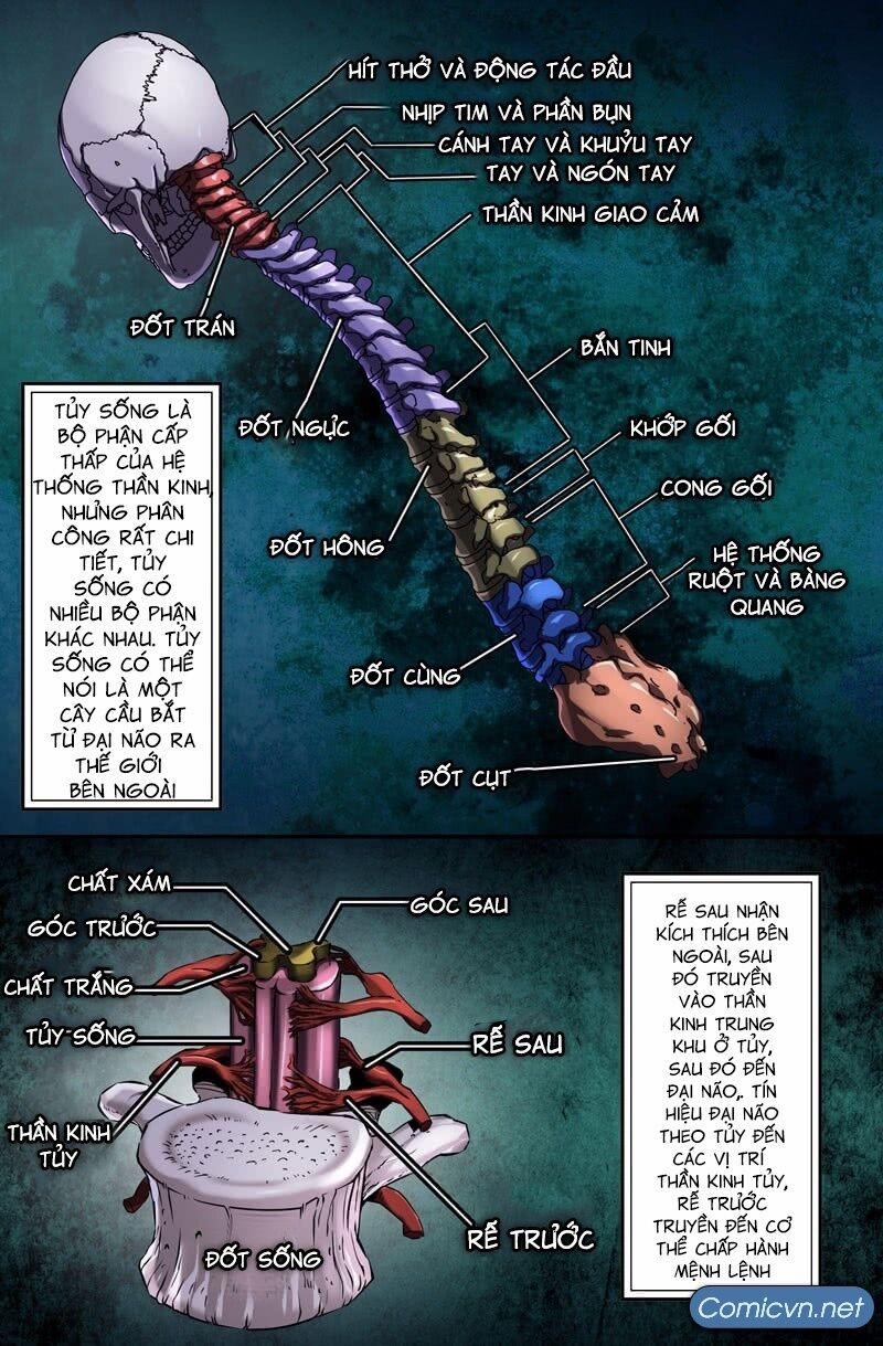 Mạnh Nhất Lịch Sử 43 trang 1