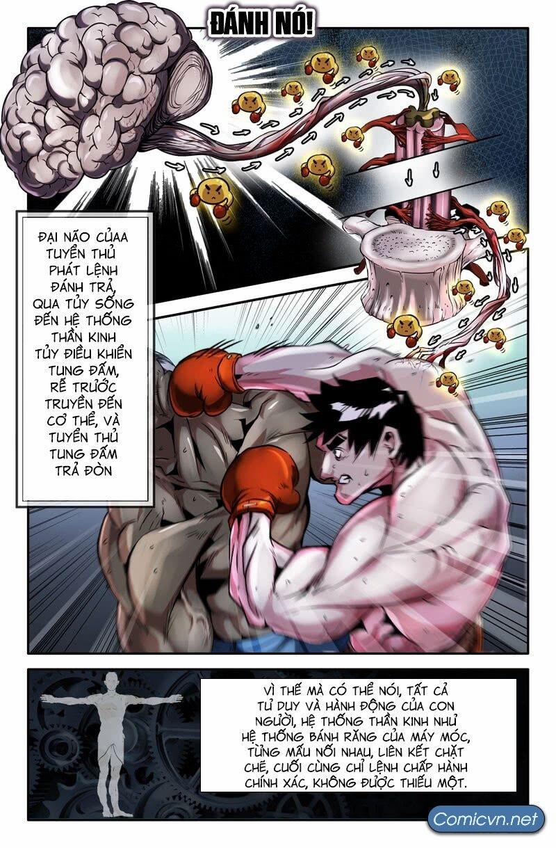 Mạnh Nhất Lịch Sử 43 trang 3