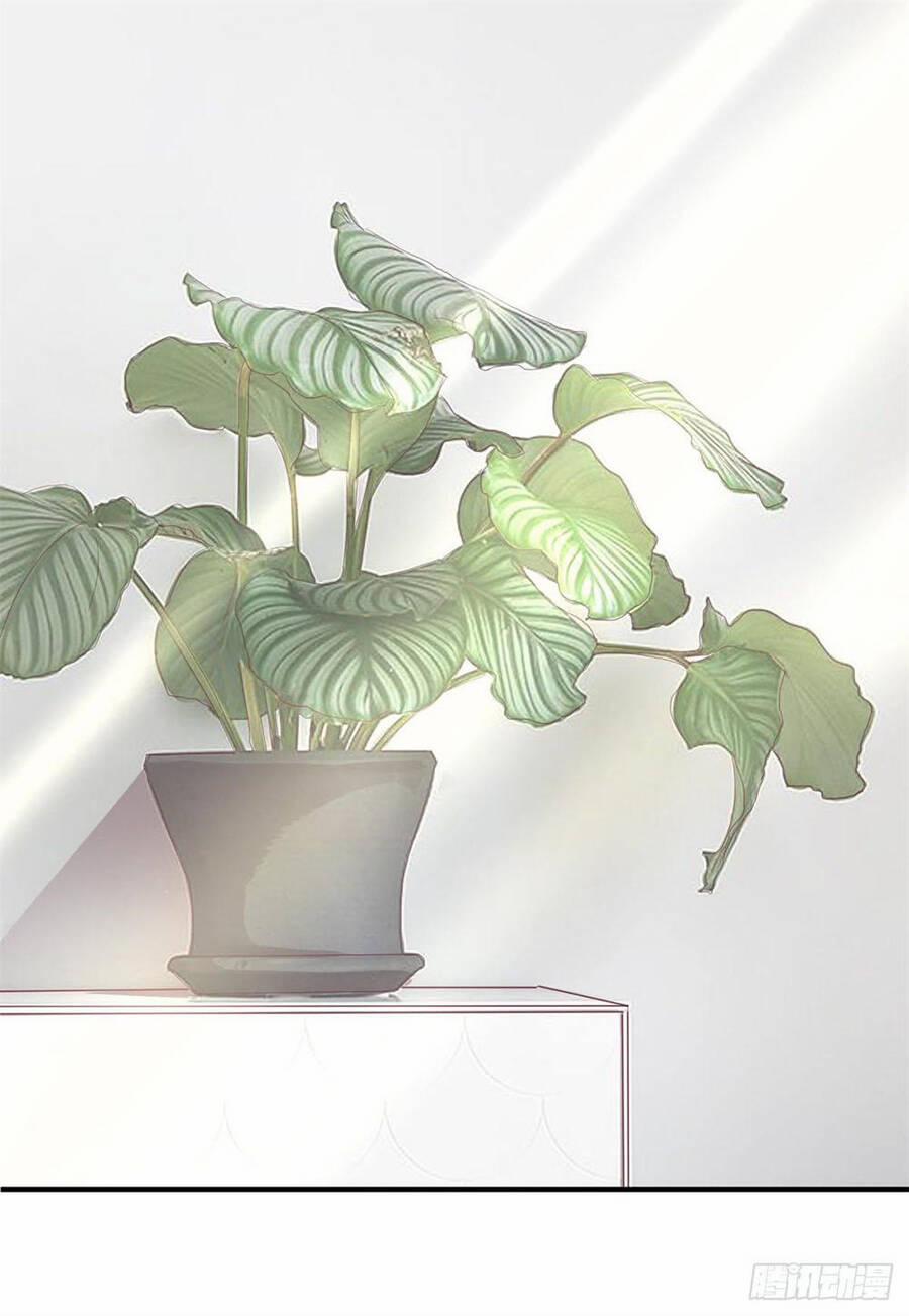 Manh Thê Khó Dỗ 19 trang 15