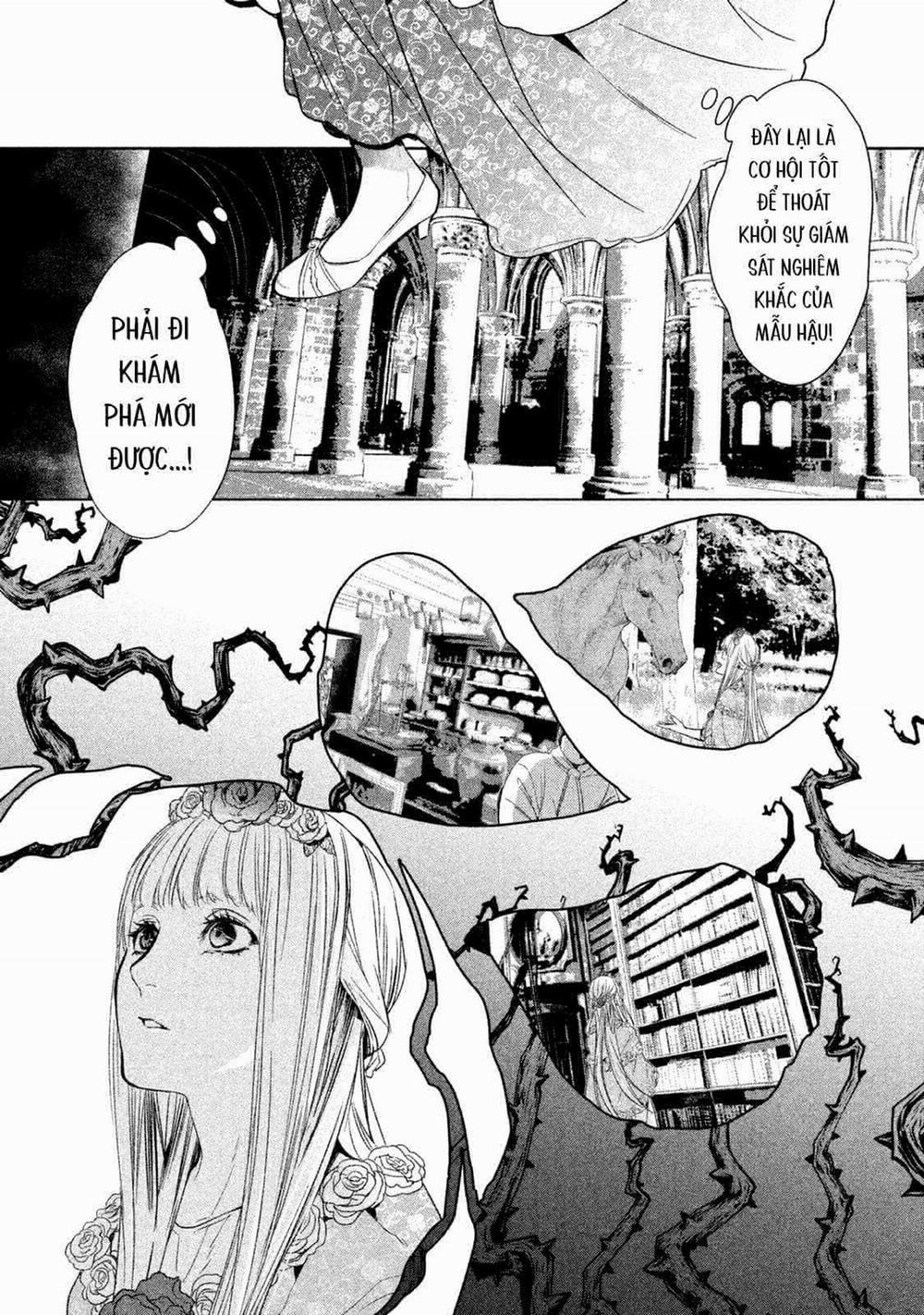 Märchen - Tân Ước 20 trang 17