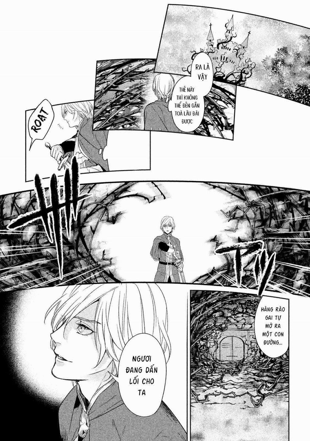 Märchen - Tân Ước 22 trang 11