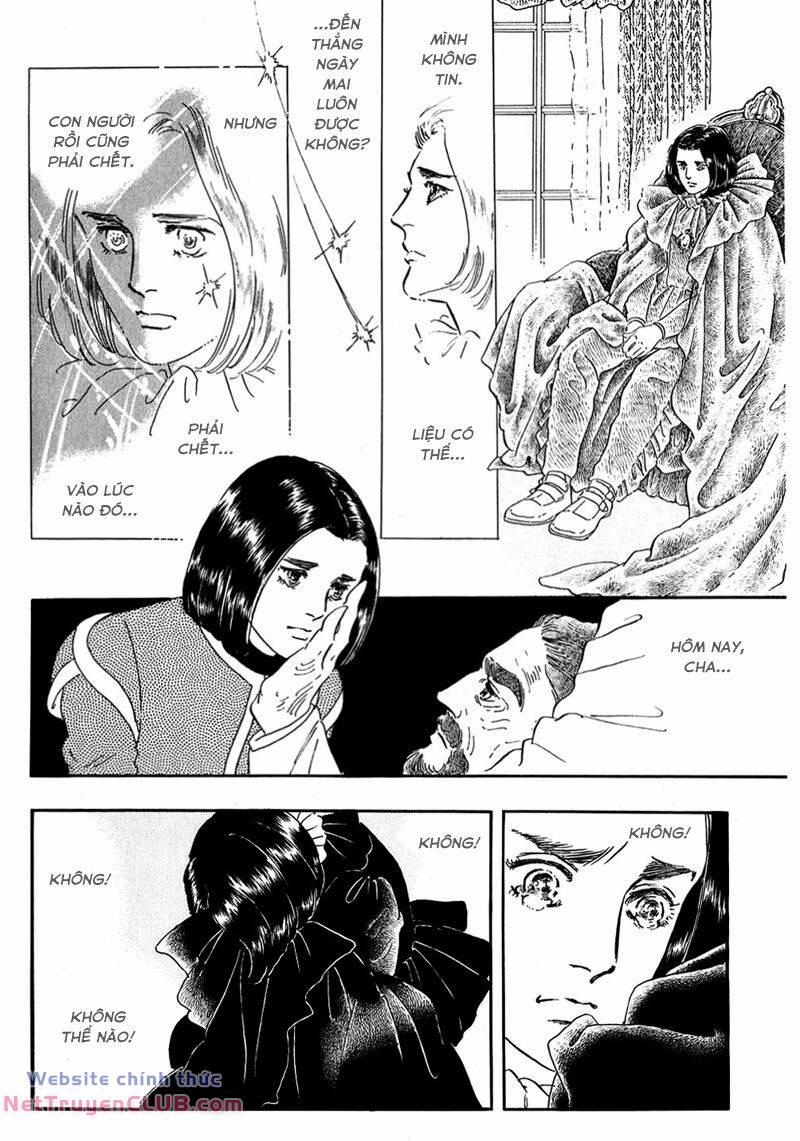 Marginal 11 trang 41