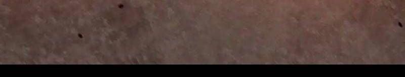 Mạt Thế Cầu Sinh: Ta Có Thể Nhìn Thấy Ẩn Tàng Hệ Thống 150 trang 35