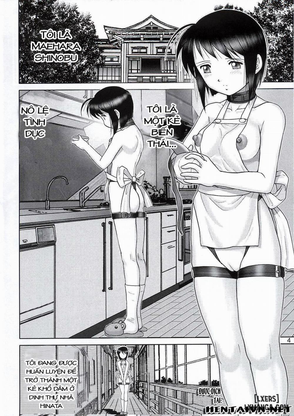 Mazo Shino 4 trang 2