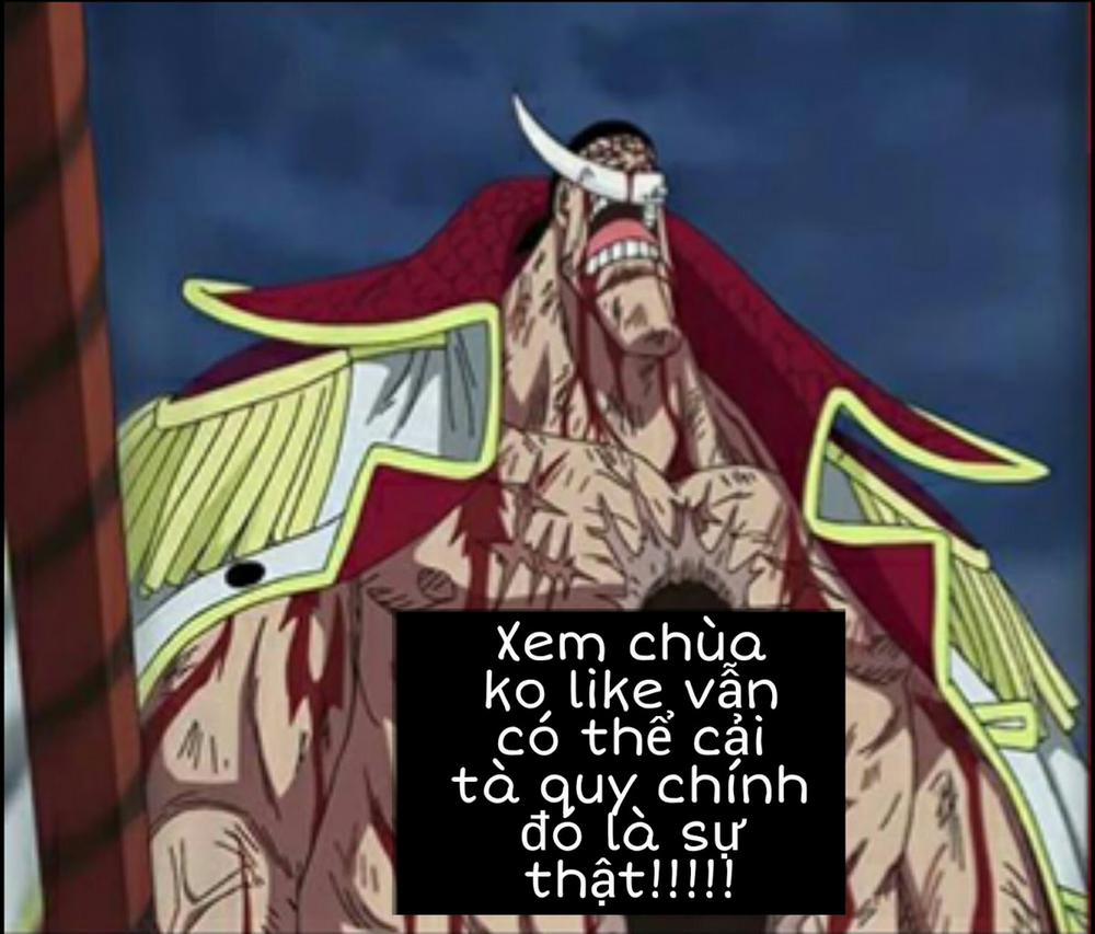 Mẹ là Pokémon của con (Pokemon) Oneshot trang 11