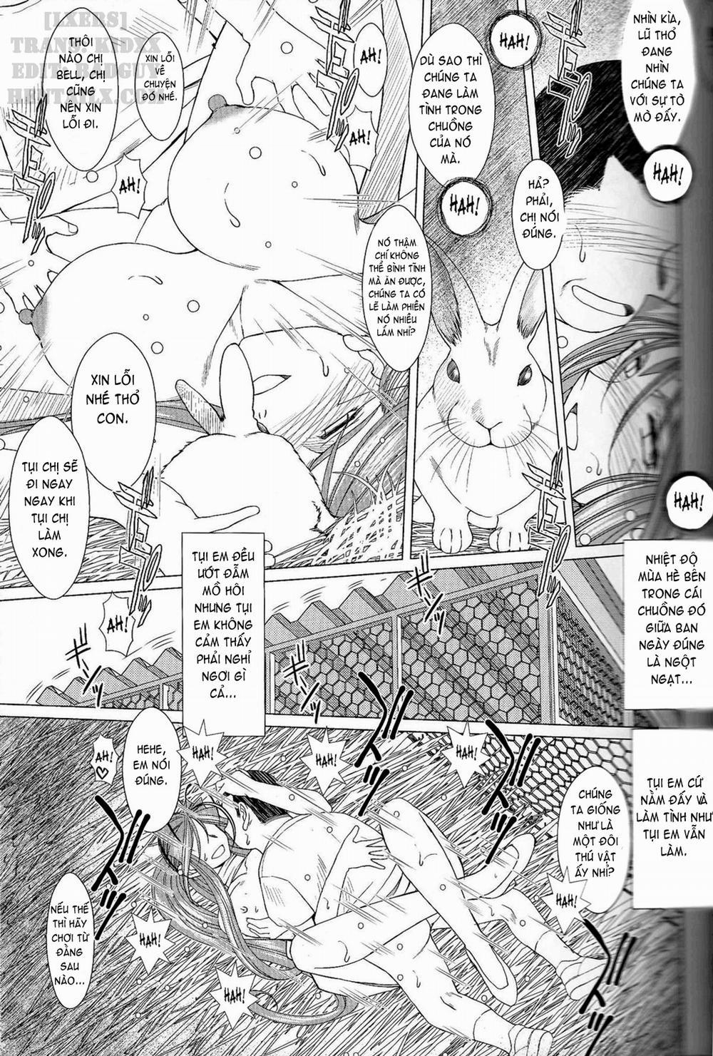 Midgard! (Ah My Goddess) 17 trang 12