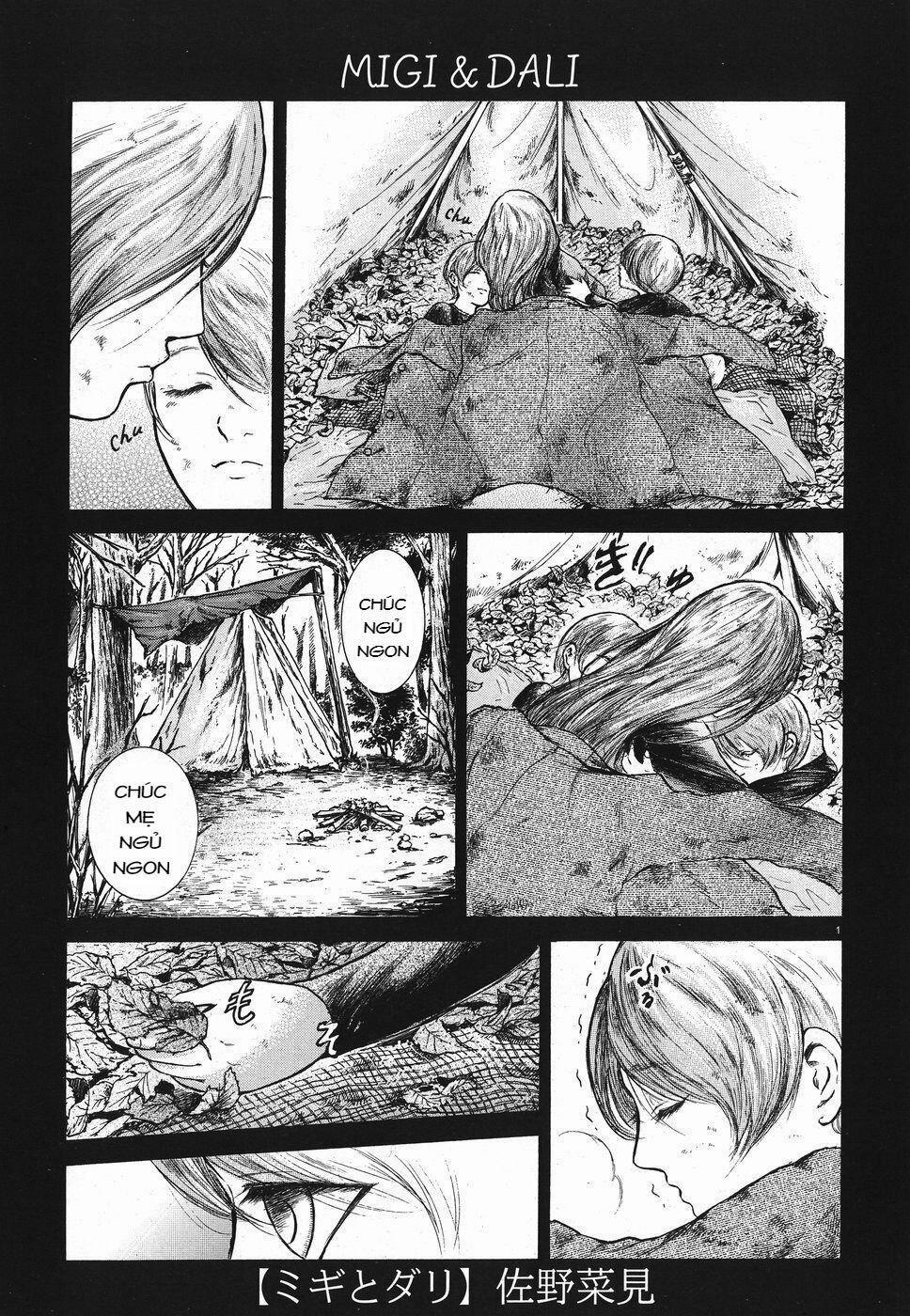 Migi To Dali 14 trang 1