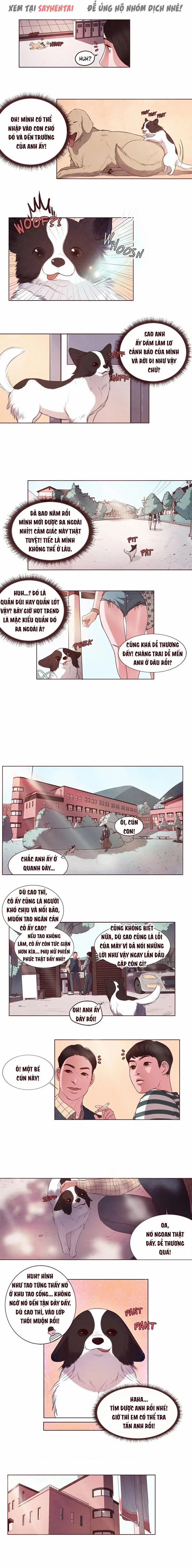 Mơ thấy làm tình với người ta 4 trang 3