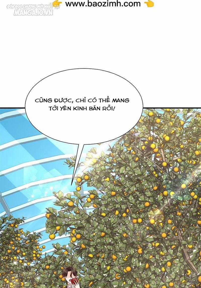 Mỗi Tuần Ta Có Một Nghề Nghiệp Mới 521 trang 2